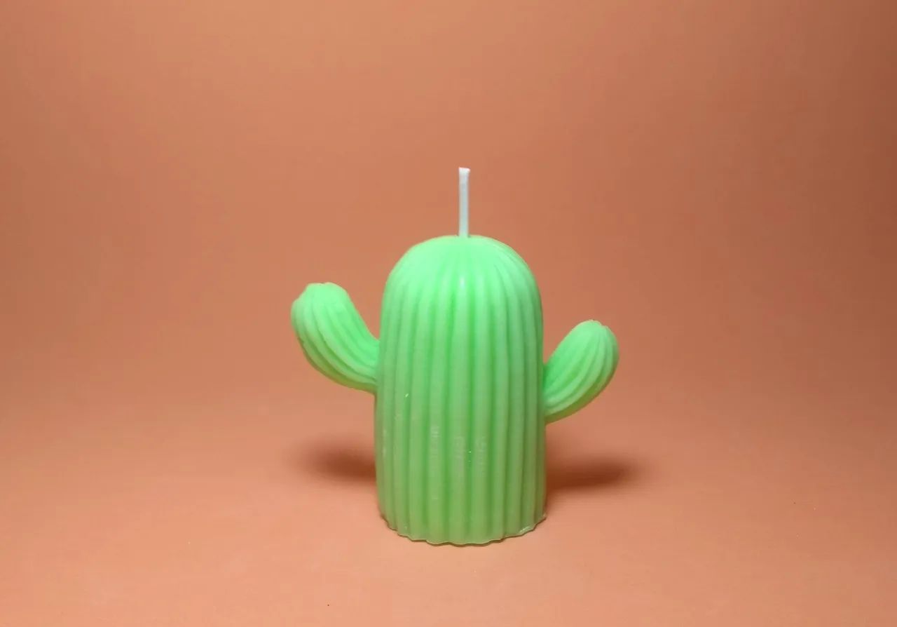 Vela cacto aromática 