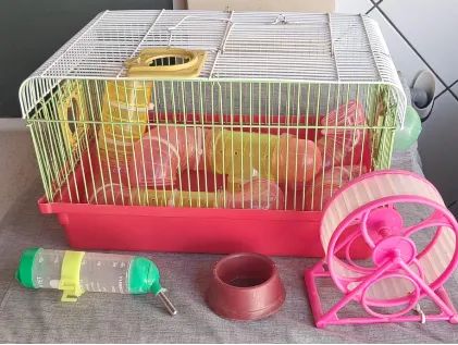 Gaiola para Hamster + Acessórios  - Foto 2