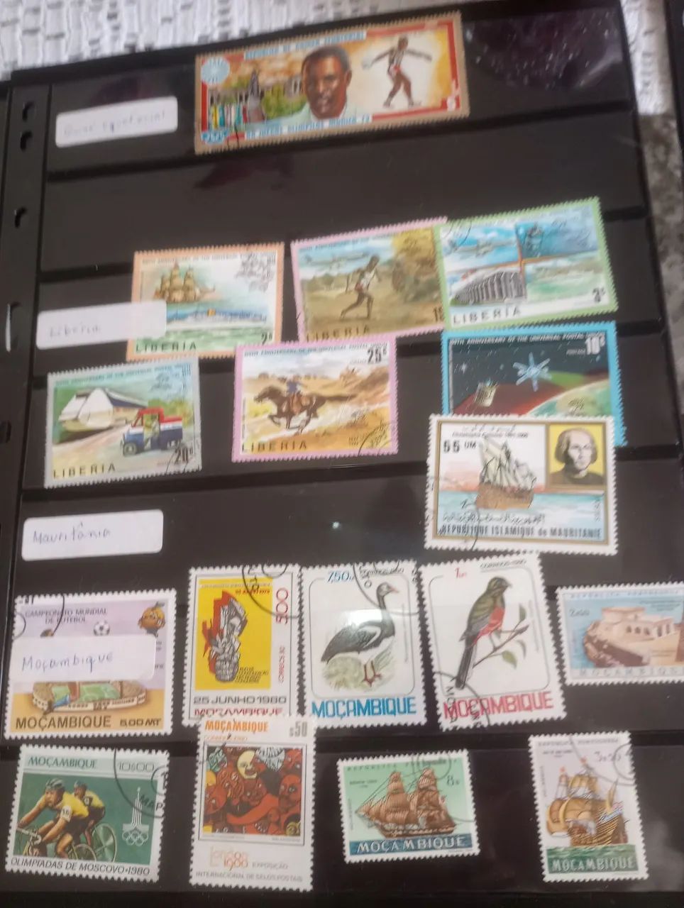 Selos africanos  - Foto 5