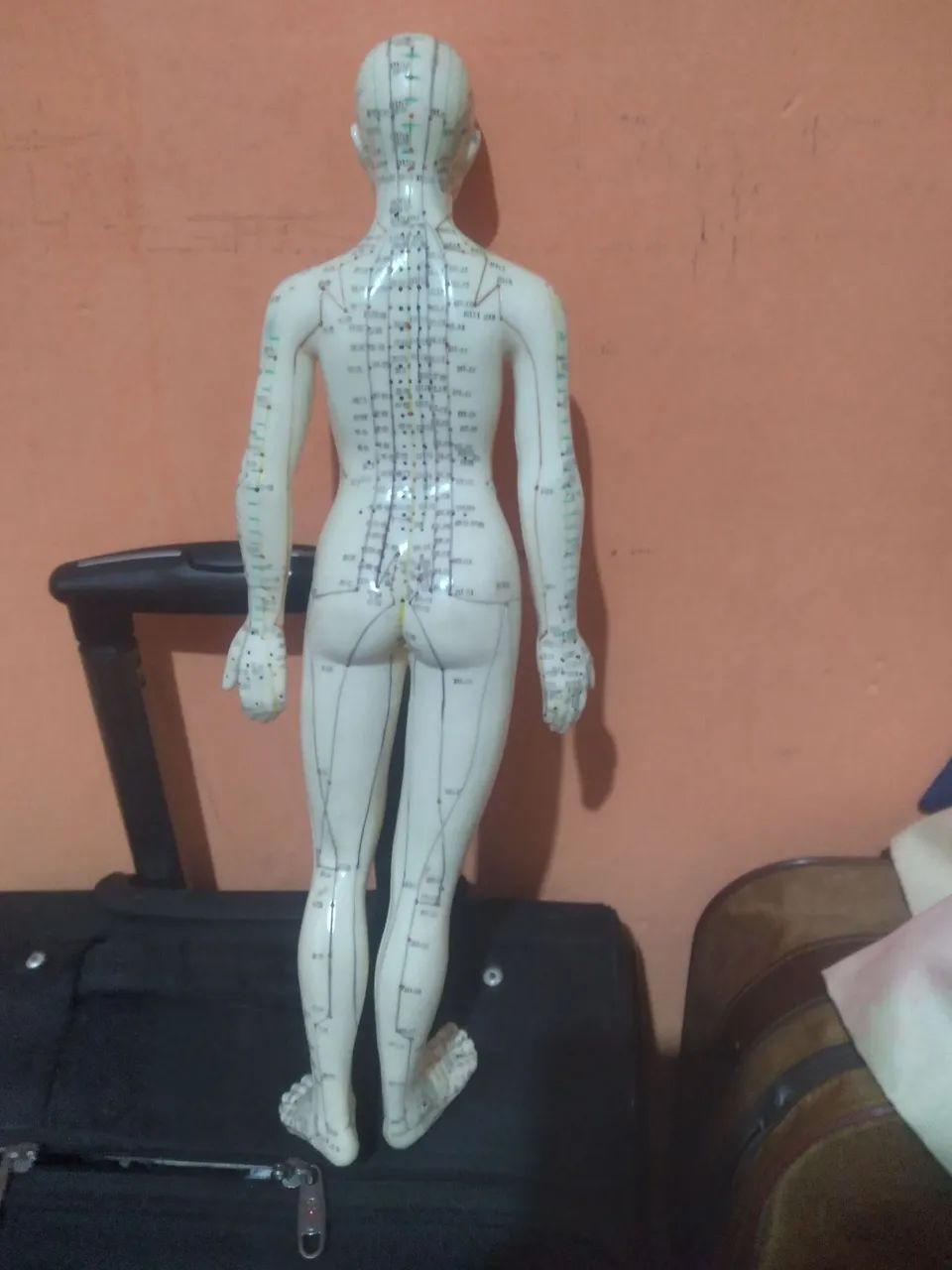 Boneca de silicone anatômica para acupuntura  - Foto 2
