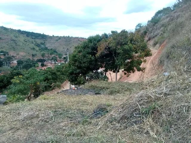 Lote 20.000  - Foto 5