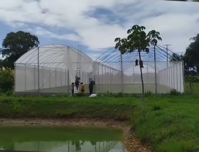 ESTUFA AGRÍCOLA  - Foto 3