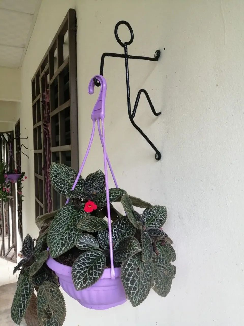 Decoração de jardim  - Foto 4