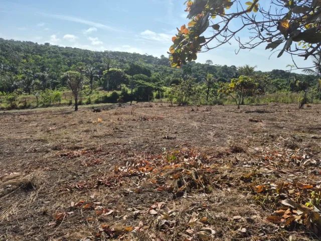 Dois Terrenos à venda em Tonantins - AM - Foto 3