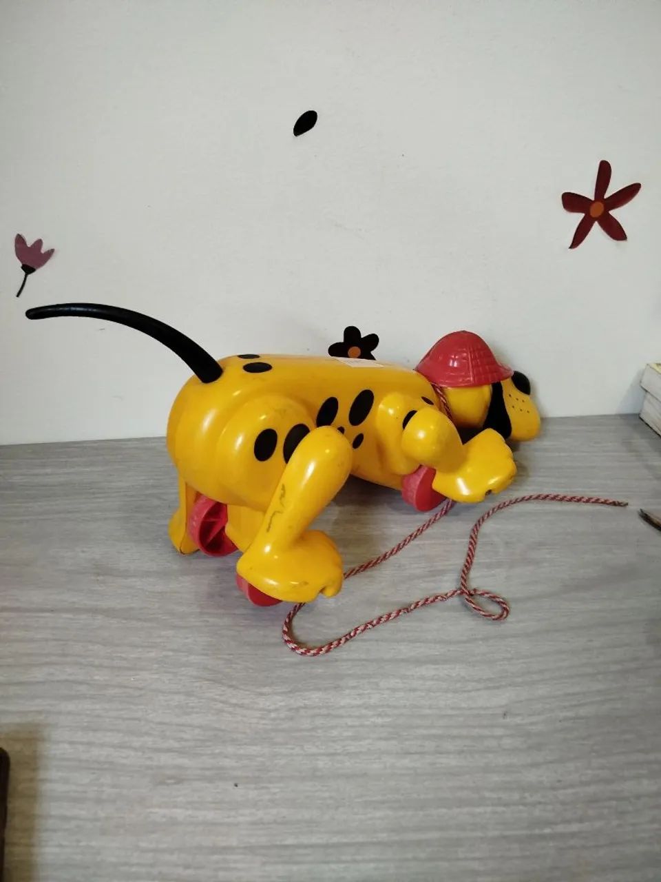 Cachorro xereta estrela  - Foto 3