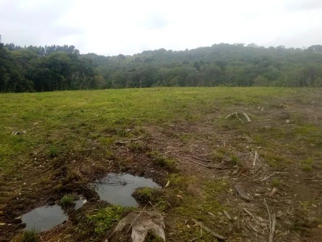 OPORTUNIDADE! TERRENO PARA PROJETOS DE CHACARAS  - Foto 2