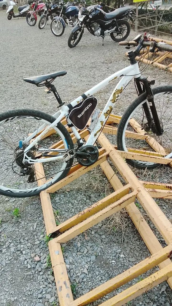 Bicicleta aro 29
