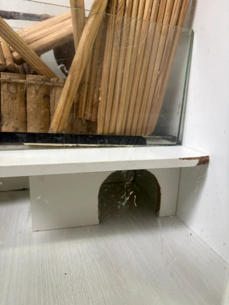 Terrário roedores  - Foto 3