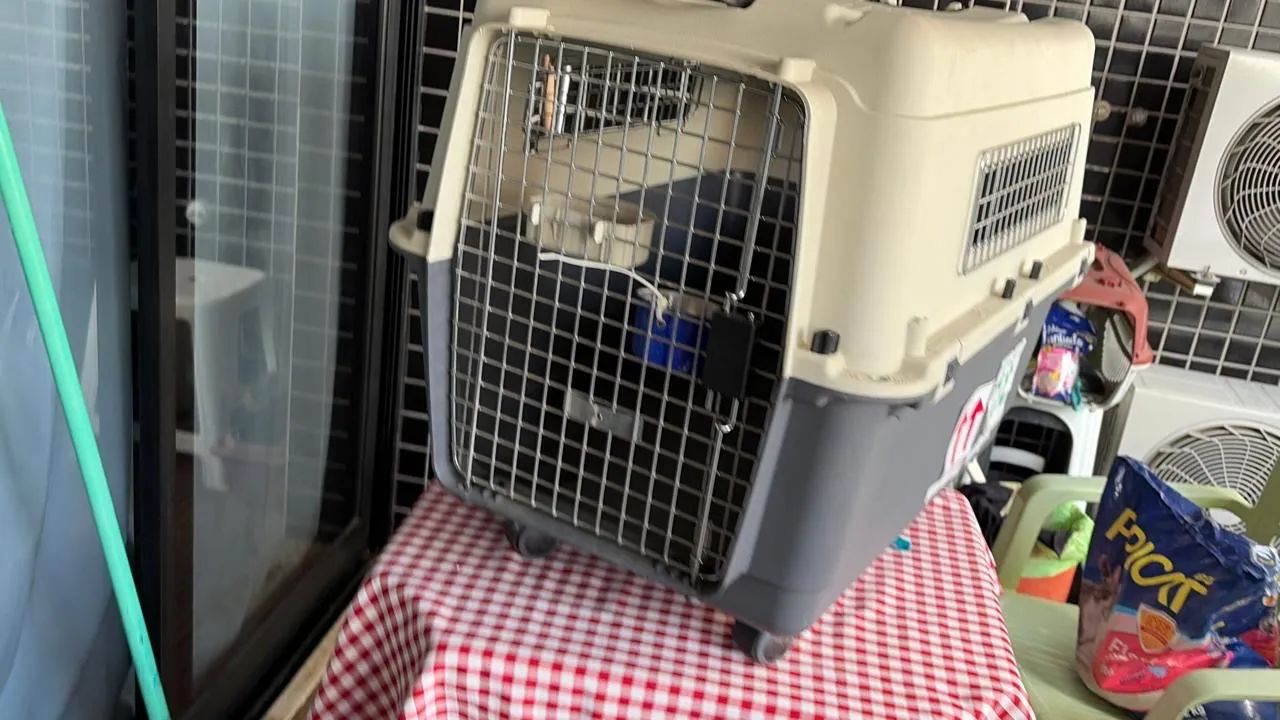 Caixa para levar animais 