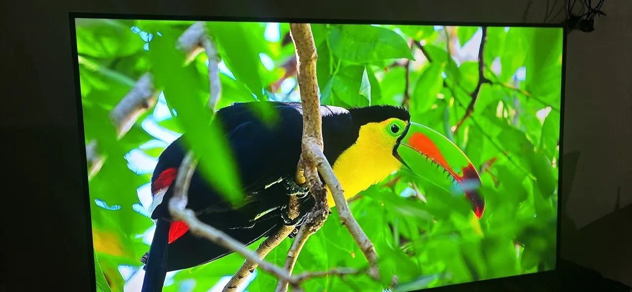 LG 65 polegadas 4K semi Nova ( pouco usada )  - Foto 3