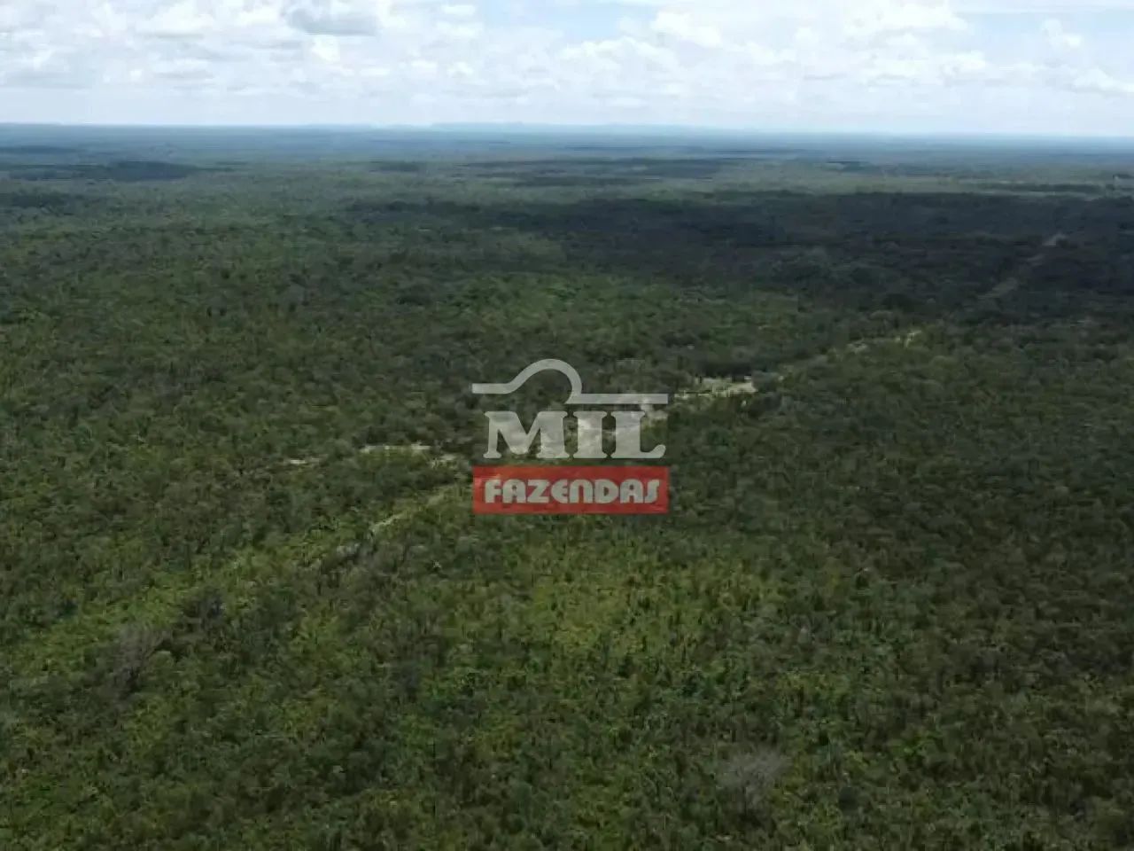 Fazenda 5.889 alqueires (28.500 hectares) Dianópolis - To