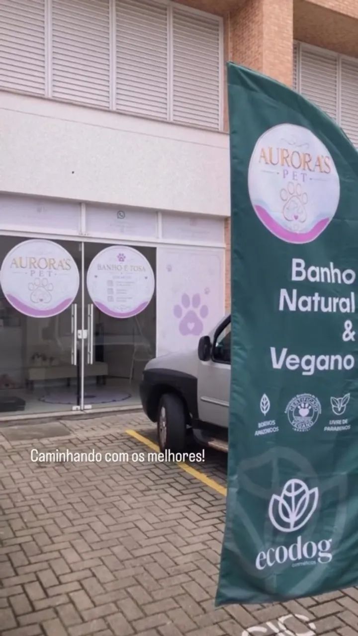 BANHO E TOSA + TAXI DOG COMPLETO