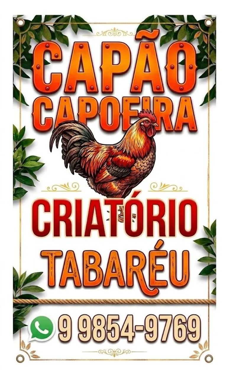 Vendo capão capoeiras 
