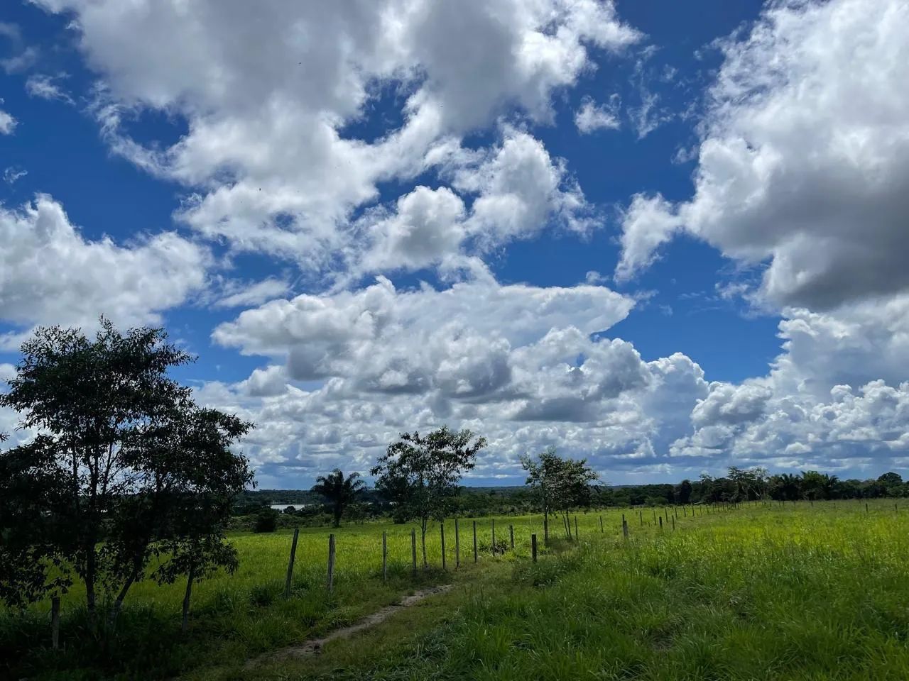 Oportunidade no Agronegócio  - Foto 4