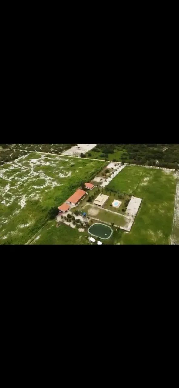 Haras com 15 hectares em PIMDORETAMA