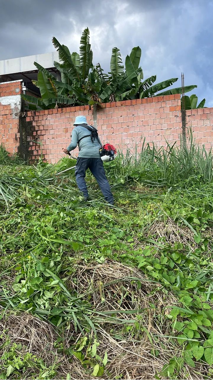 Limpeza e roçagem de lotes, chácaras e sítios  - Foto 4
