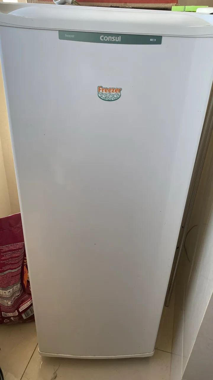 Freezer consul vertical