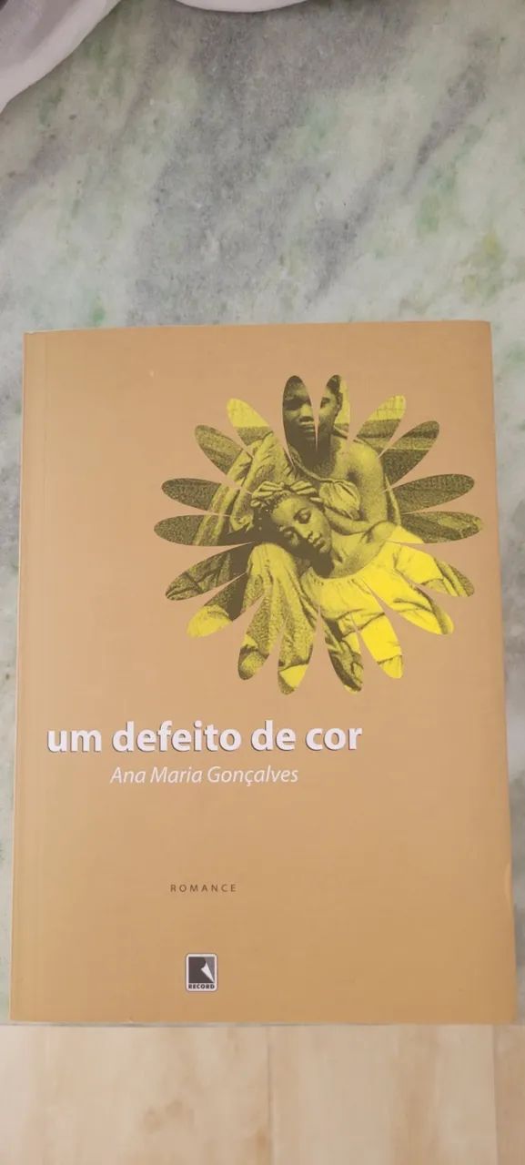 Livro "Um defeito de cor"