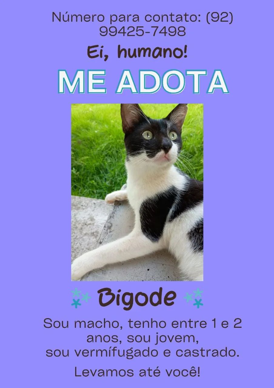 Adoção 