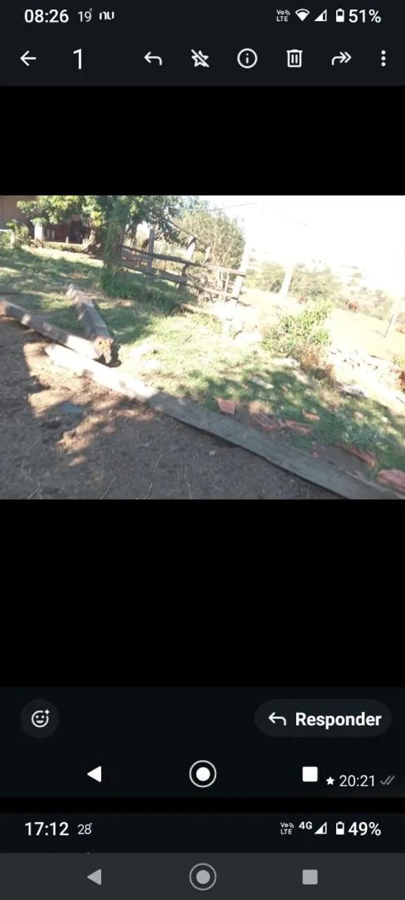 Vendo sítio na cidade de Tatuí SP excelente localização ideal para criação de gado  - Foto 6