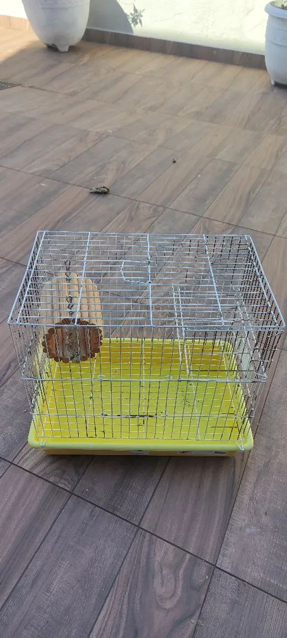 Gaiola pequena para pássaros pequenos 