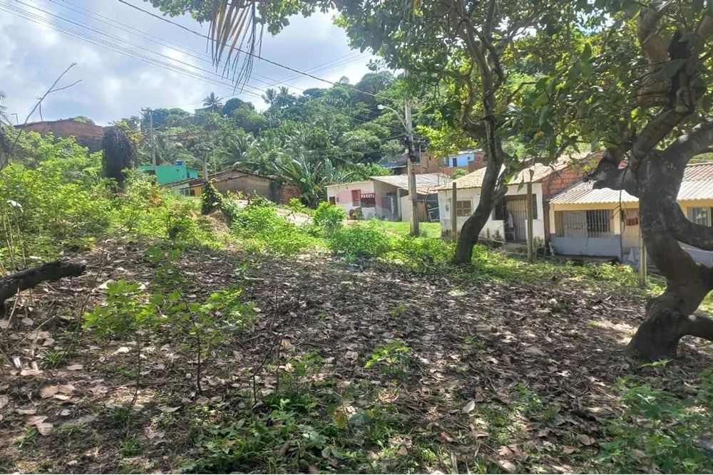 Terreno em guaxuma Maceió, AL-101 - Foto 6