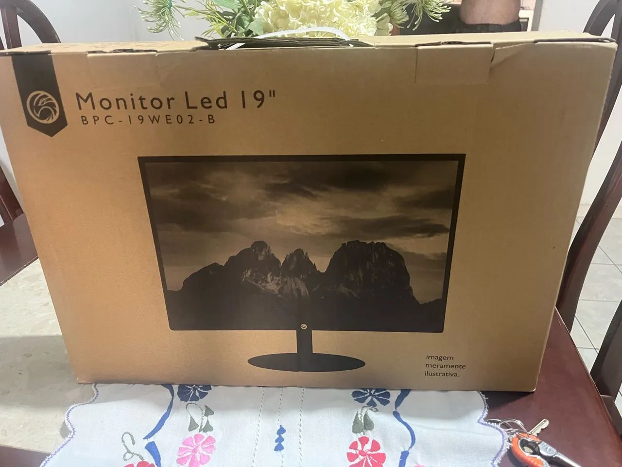 Monitor 