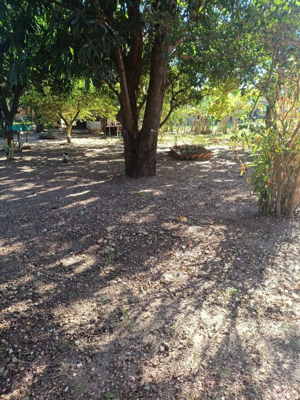 Vendo dois terrenos 