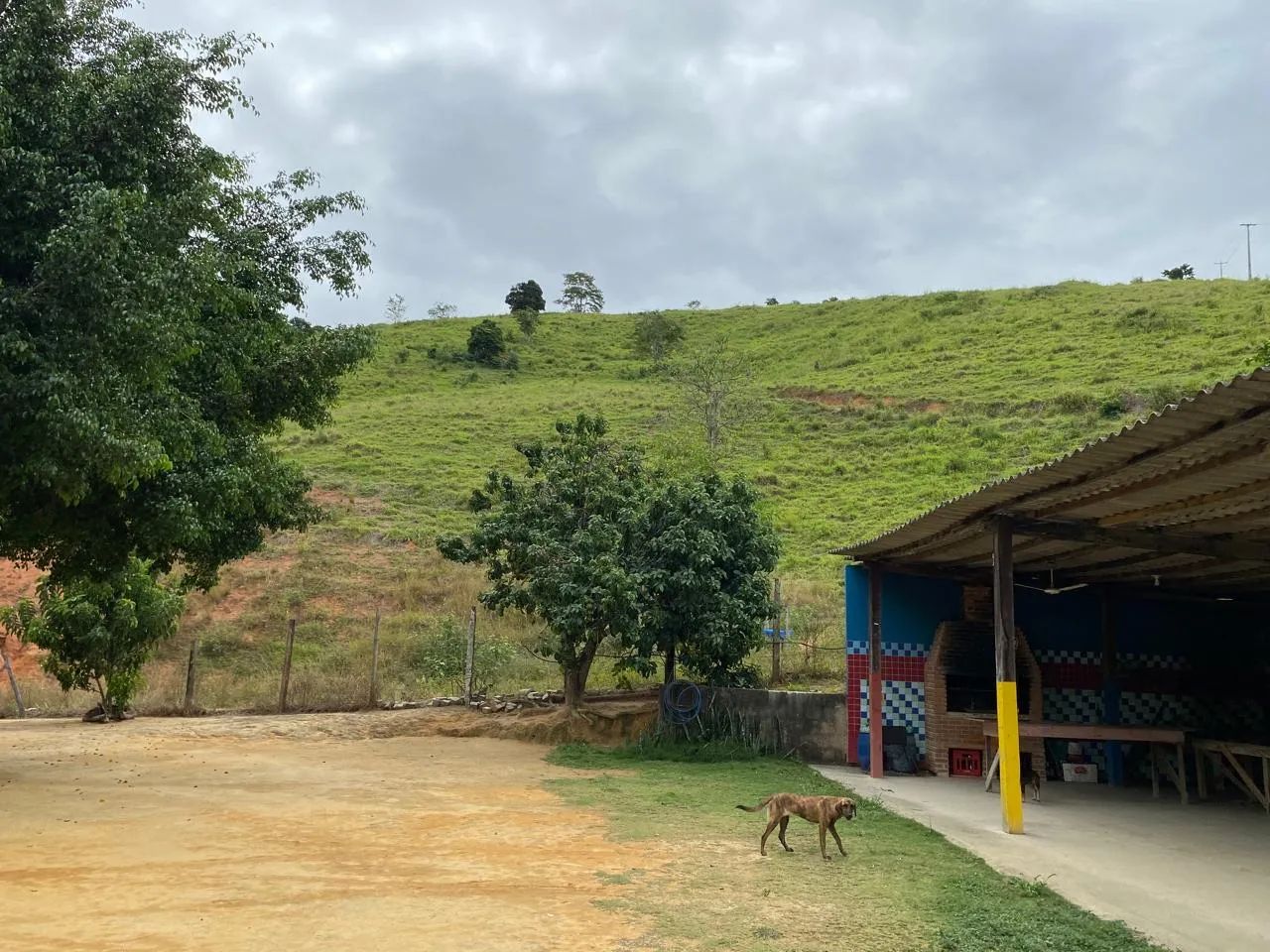 Vendo sítio Cachoeiro  - Foto 4
