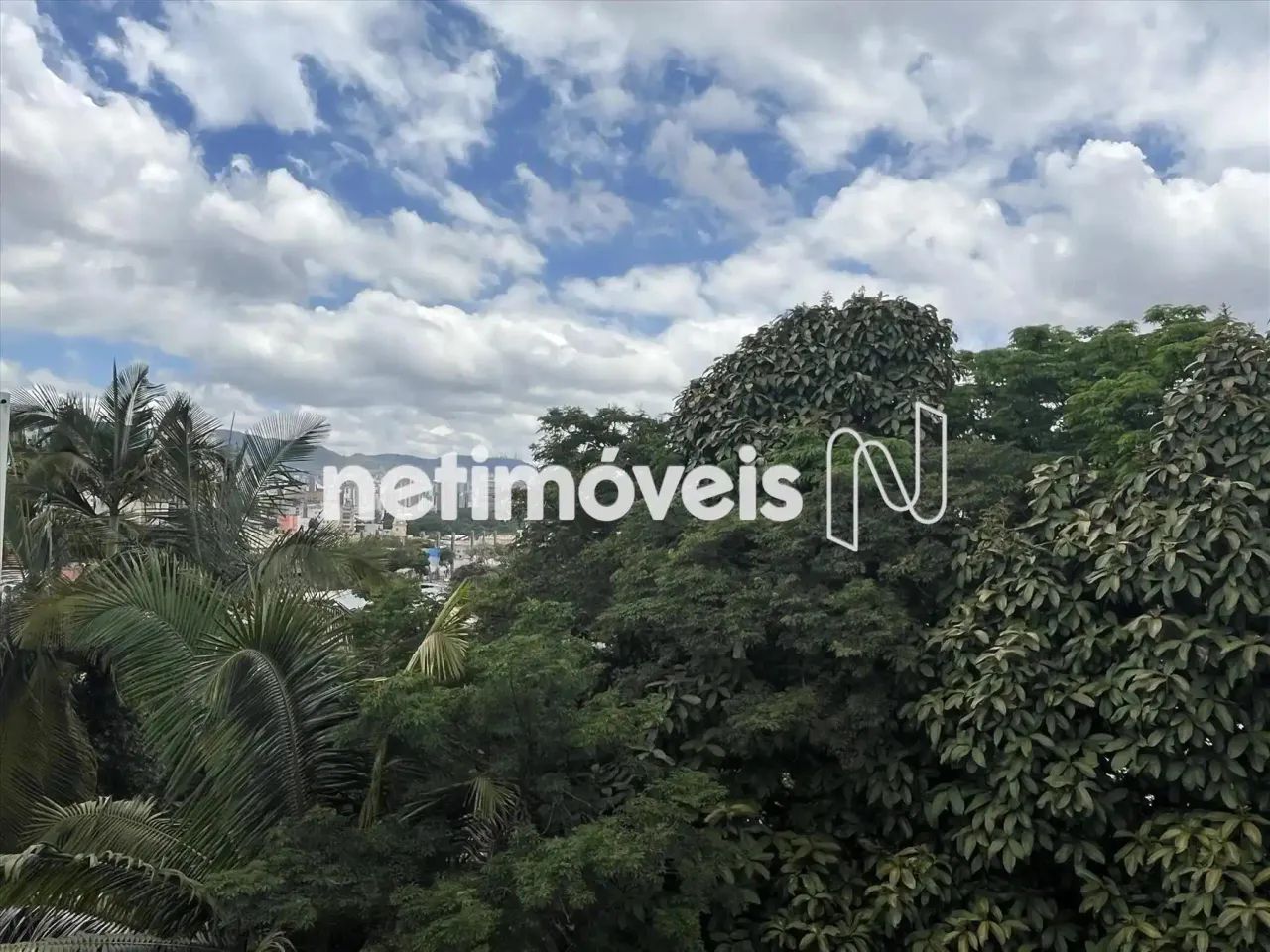 Apartamento 3 quartos no Floresta - Foto 4
