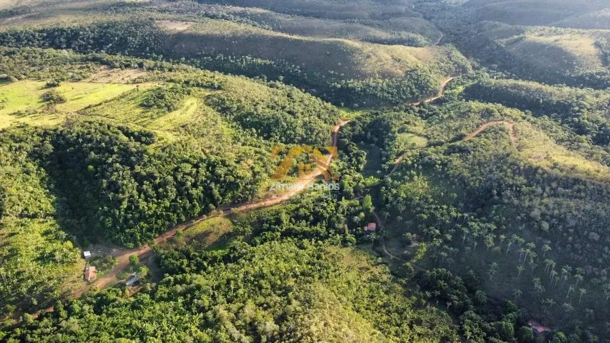 Fazenda com 10 Alqueires na Zona Rural de Palmas - Sentido Lajeado á 45 km do Centro - Foto 10