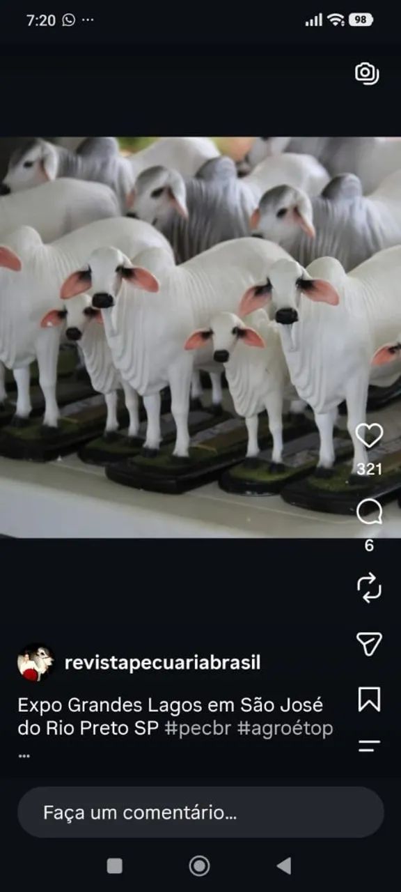 Esculturas Só Raças 