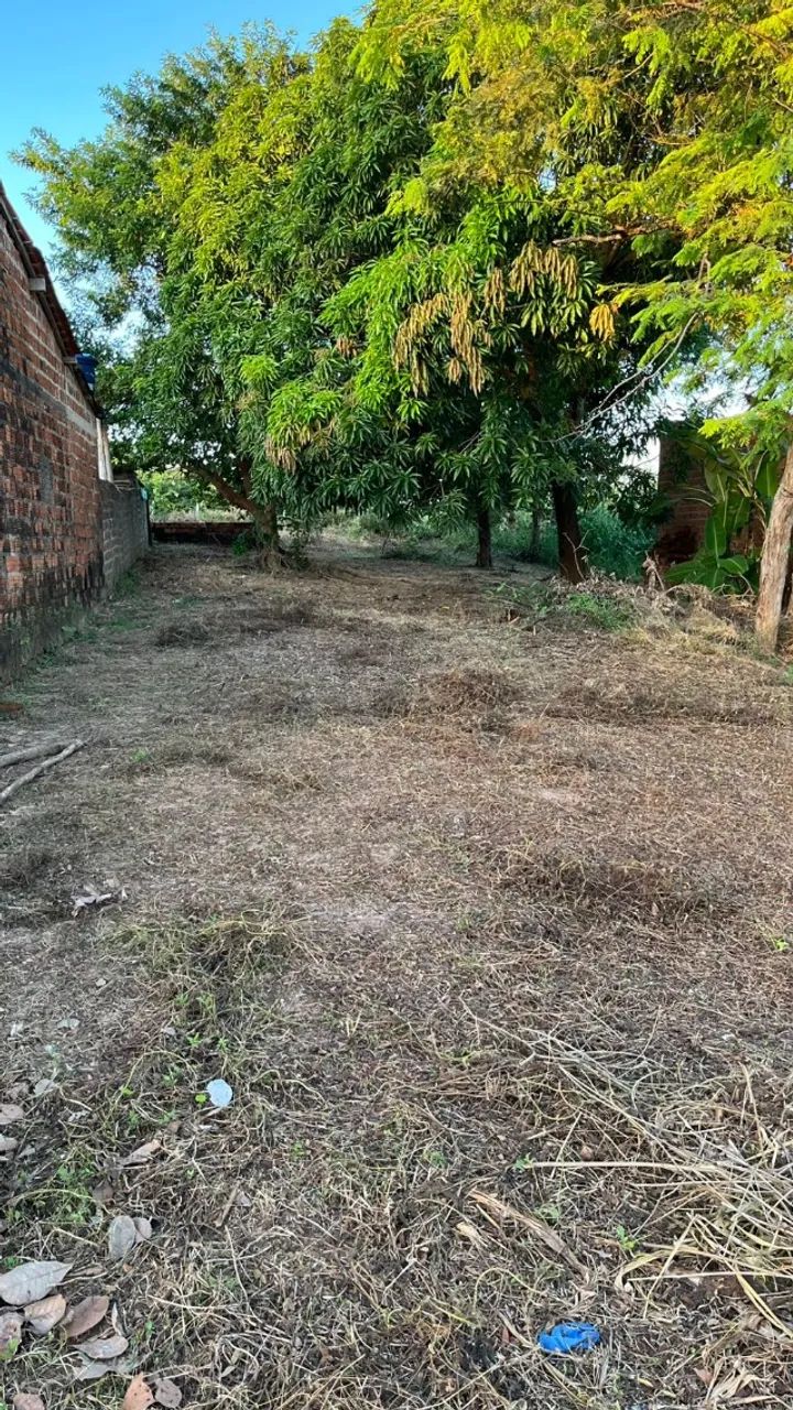 Vende-se terreno na raposa MA