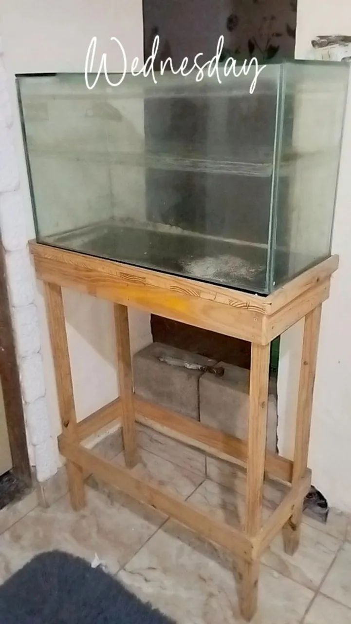 AQUÁRIO  - Foto 2