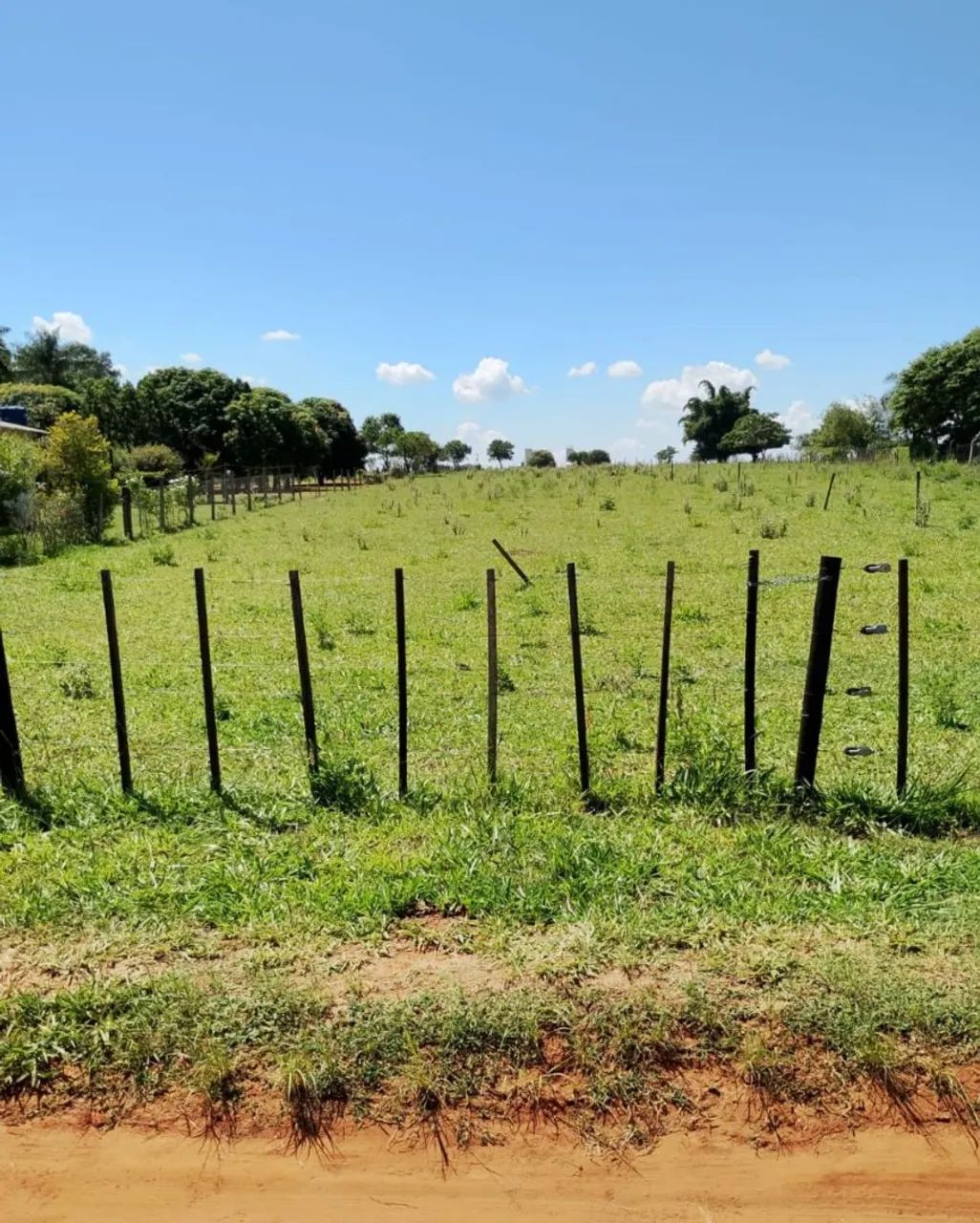 Foto - Martinópolis - 