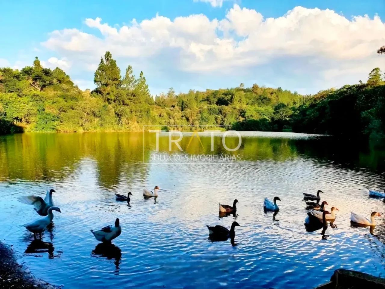 terreno - Joaquim Egídio - Campinas - Foto 3