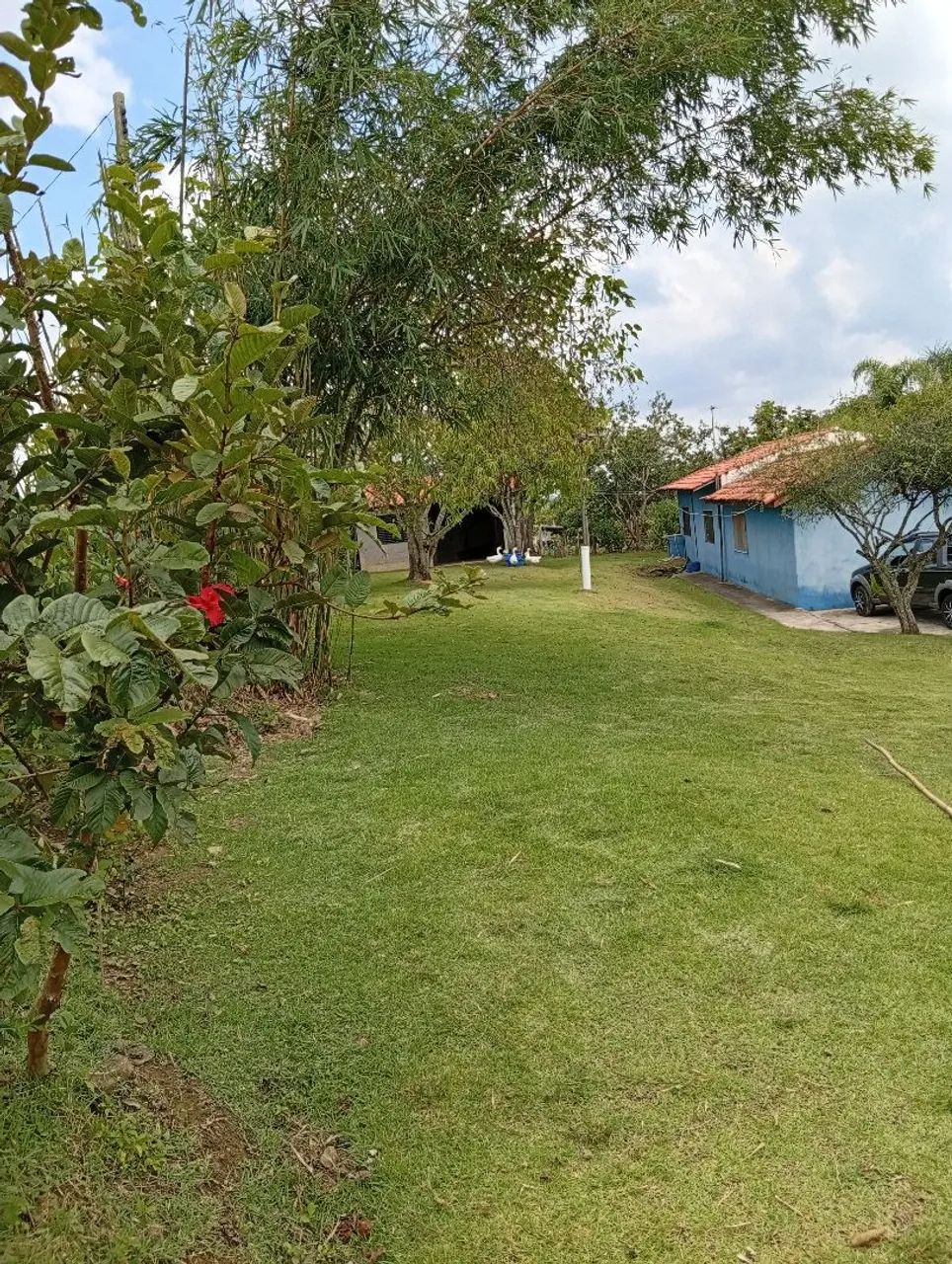 Chácara disponível para venda perto de Itapetininga 