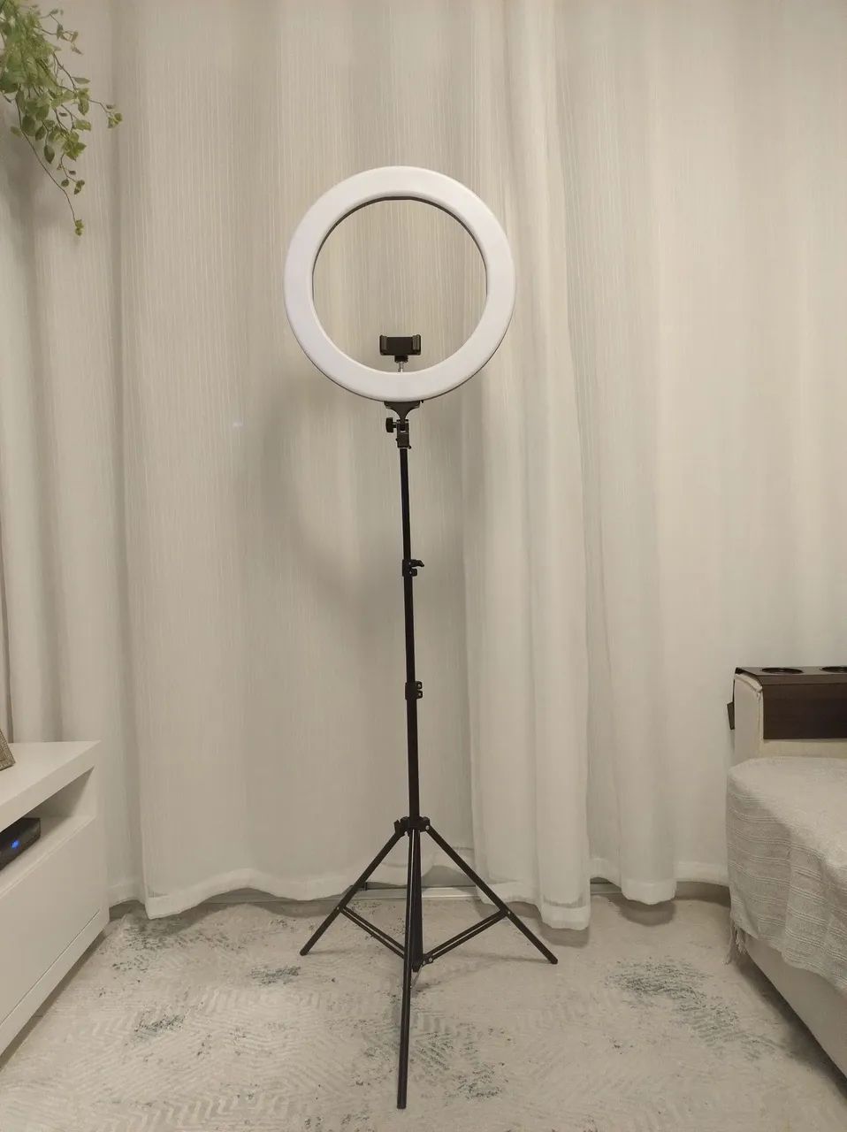 Ring Light TOMATE 048A - Profissional 