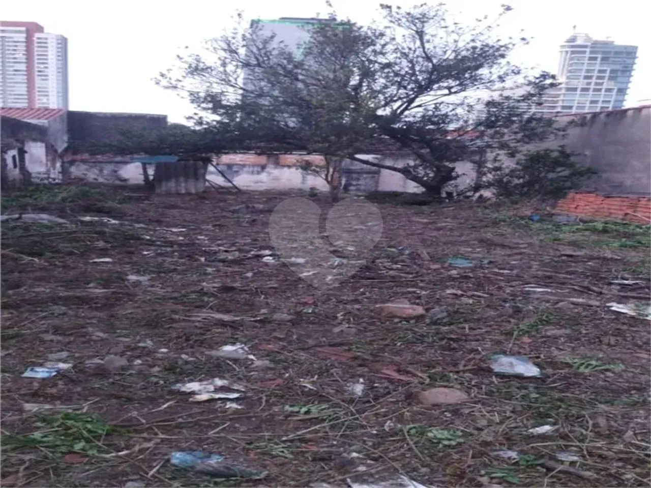 Terreno à venda em Vila cordeiro - SP - Foto 5