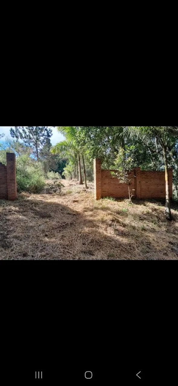 Vendo duas chácara  - Foto 3