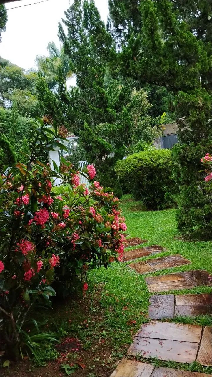 Conservação de chácaras e outros serviços  - Foto 3