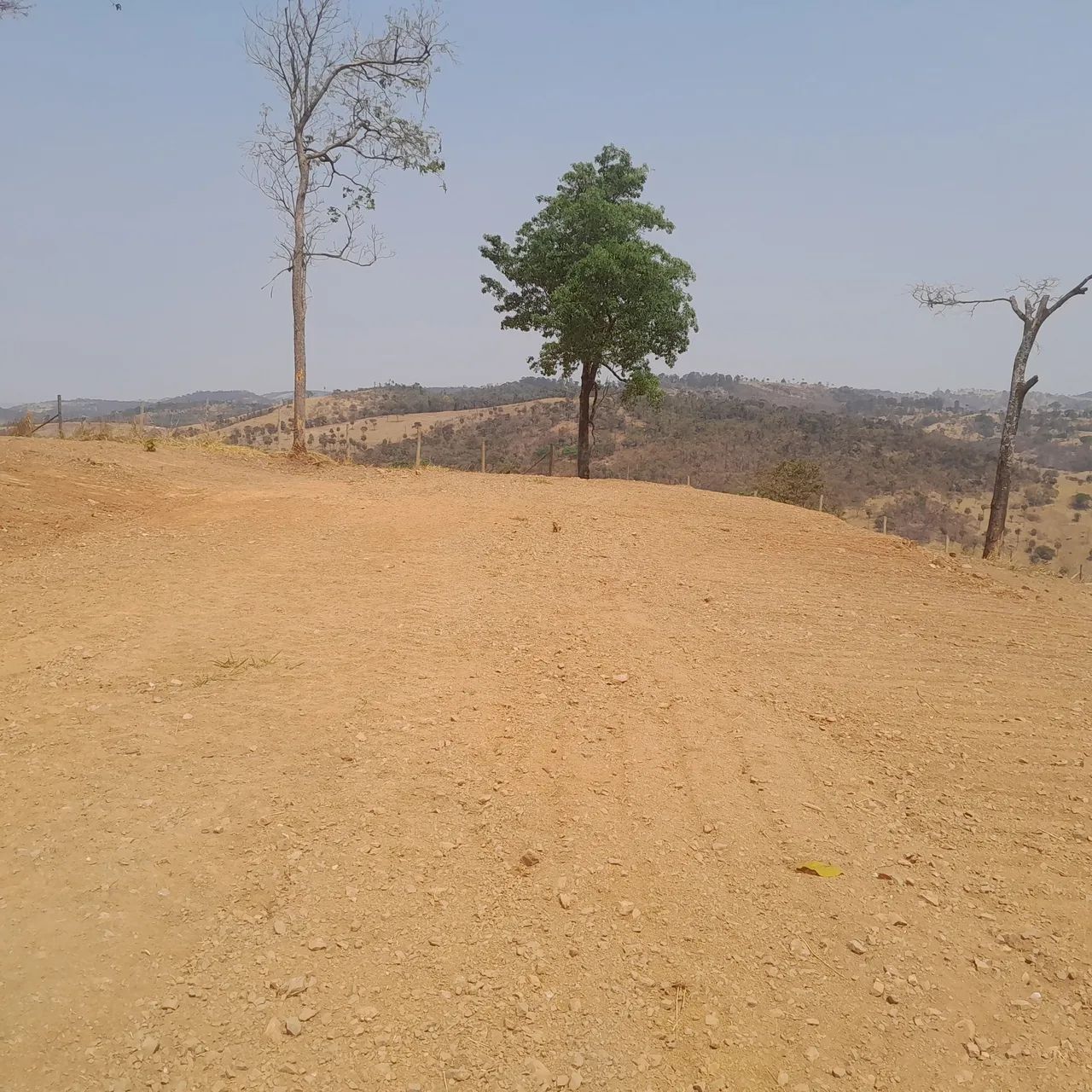 Chacaras rurais em mateus leme  - Foto 5