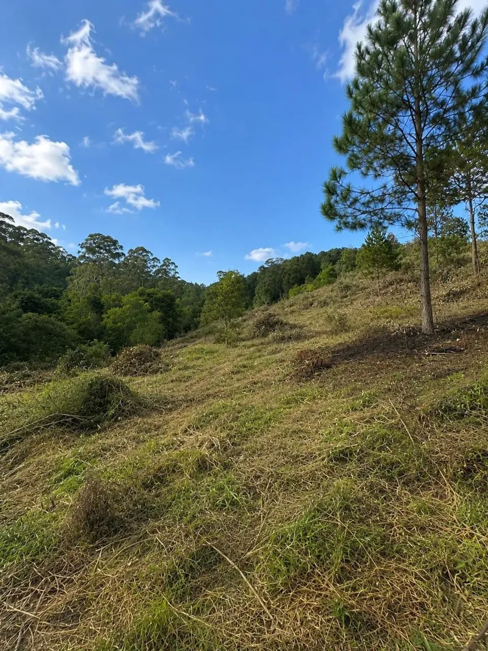 vendo terrenos de 1000m no interior de Sp - Foto 2
