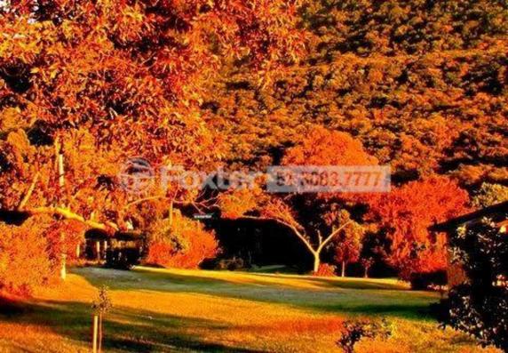 Sítio à venda em Parque do sol, Osório cod:132027 - Foto 18