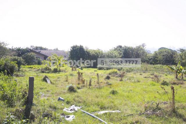 Terreno à venda em Morro santana, Porto alegre cod:112177 - Foto 2