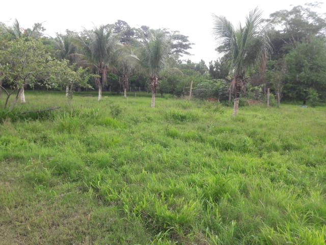 Vende-se uma chácara na beira do rio Cuiabá - Foto 7