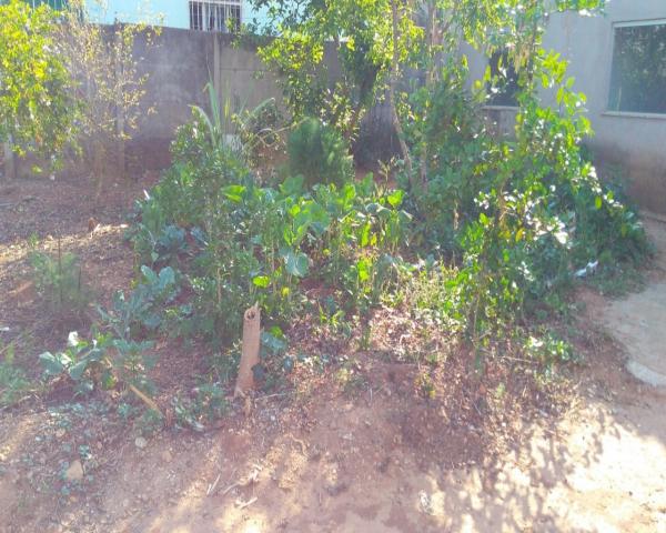 Casa à venda com 1 dormitórios em Cidade nova ii, Juatuba cod:J0729 - Foto 3