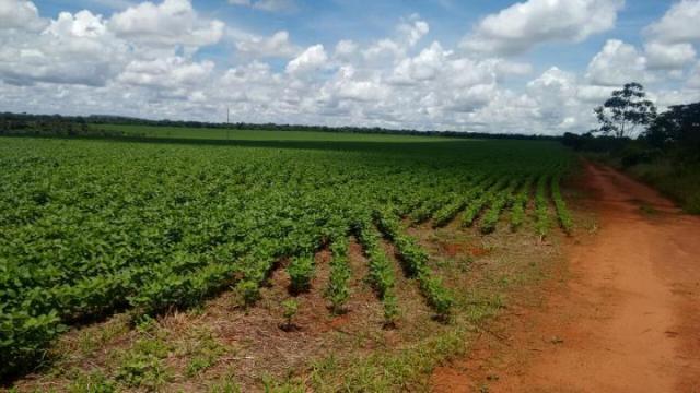 Sítio para venda em batatais, rural - Foto 8