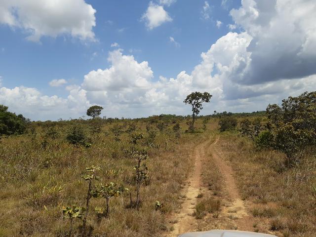 Vende-se área rural no amapá - Foto 4