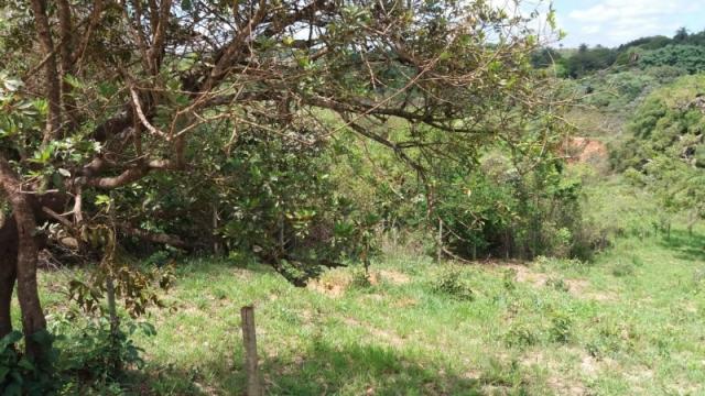 Terreno à venda em Residencial ilhéus, Juatuba cod:TE00019 - Foto 2